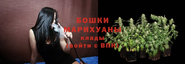 мдпв Липки