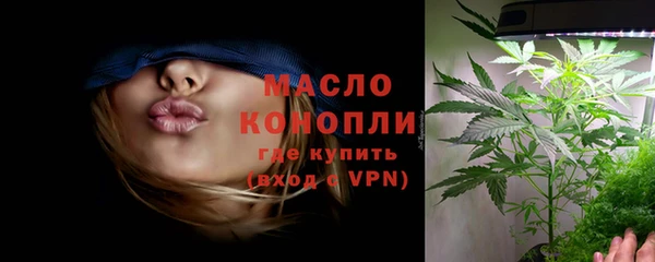 сатива Анжеро-Судженск