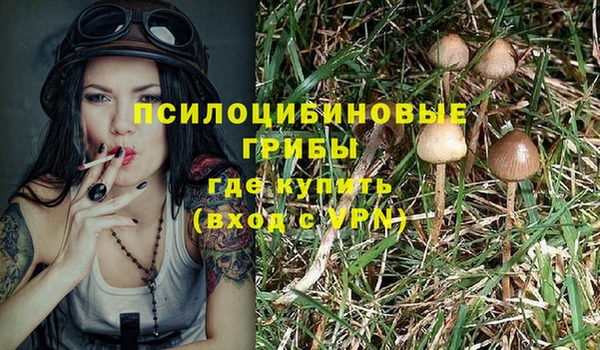 шишки Лиски