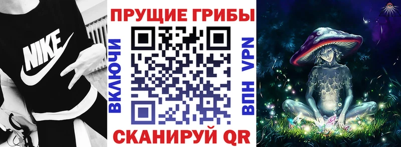Псилоцибиновые грибы мухоморы Медвежьегорск